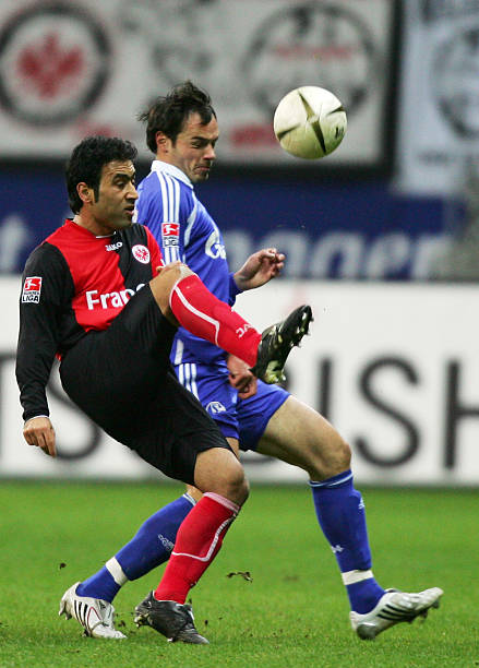 仅为上海申 仅为上海申